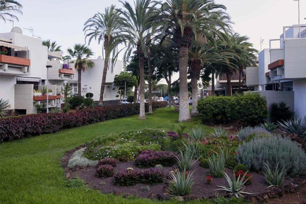 Tenerife Primavera Arona  Exterior photo